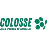 Colosse aux pieds d'argile