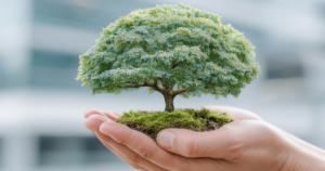 Système de Management Environnemental - ISO 14001:2026