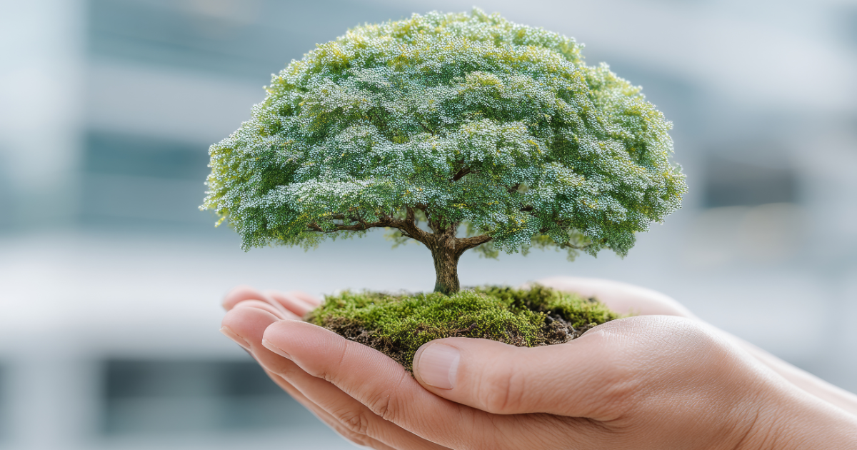 Système de Management Environnemental - ISO 14001:2026